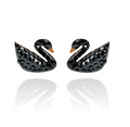 Black Swan Studs